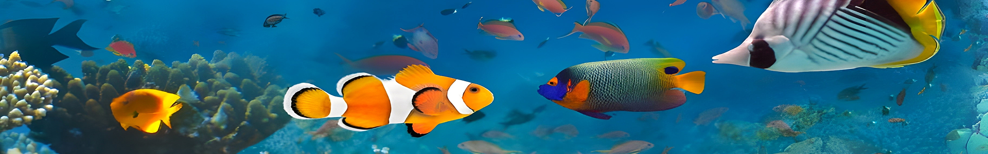 セルフガイドツアーBlueGrotto