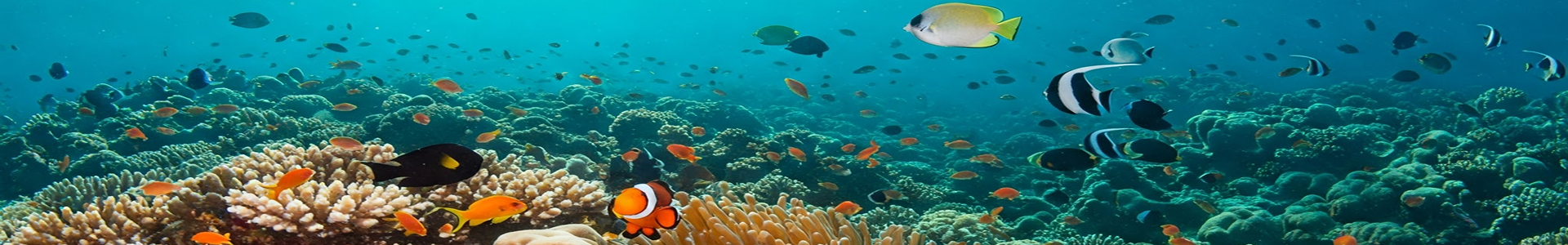 セルフガイドツアーBlueGrotto